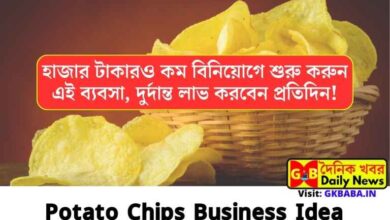Potato Chips Business Idea
