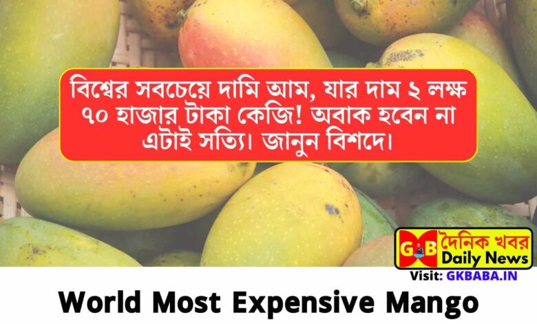 World Most Expensive Mango